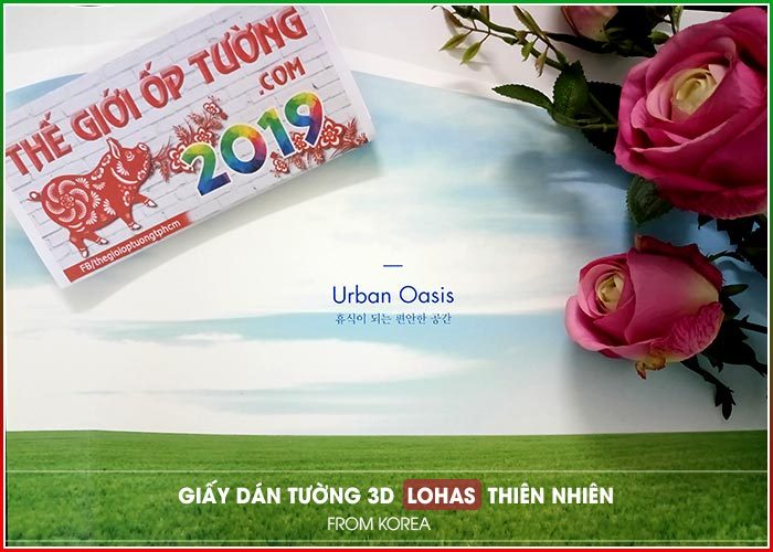 Giấy Dán Tường LOHAS thiên nhiên - Thế Giới Ốp Tường 3D