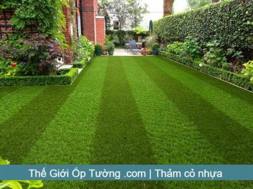Cung cấp thảm cỏ xanh nhân tạo, cỏ lát nền chất lượng giá xưởng