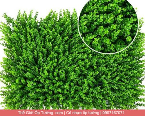 Địa chỉ mua ốp tường cỏ nhựa, thảm cỏ dán tường giá rẻ chất lượng
