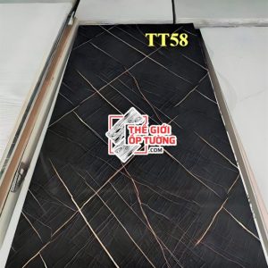 Tấm nhựa giả đá ốp tường PVC mẫu TT58