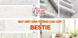 BST GIẤY DÁN TƯỜNG CAO CẤP BESTIE