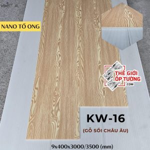 Ốp tường nano tổ ong 16